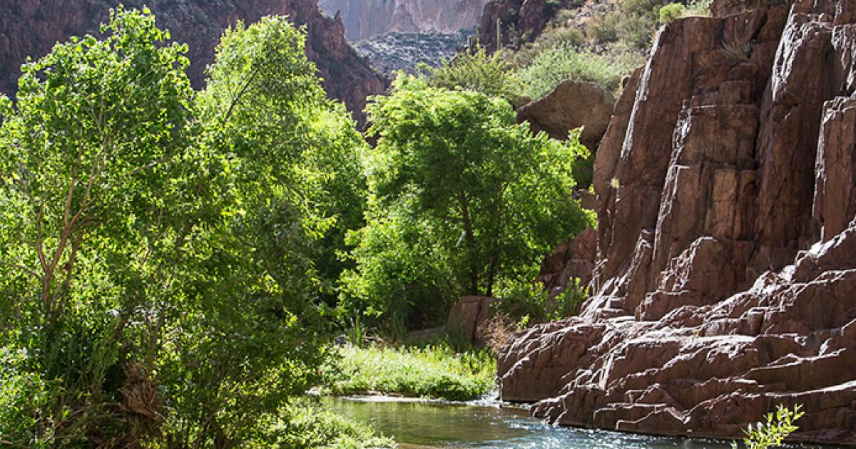 Aravaipa Canyon | Bureau Of Land Management